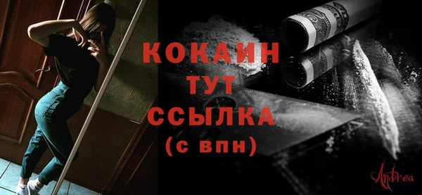 ПСИЛОЦИБИНОВЫЕ ГРИБЫ Гусев