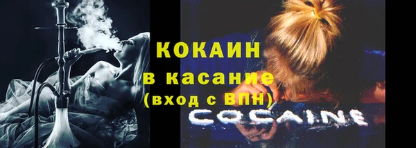 ПСИЛОЦИБИНОВЫЕ ГРИБЫ Гусев