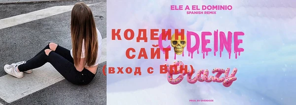 ПСИЛОЦИБИНОВЫЕ ГРИБЫ Гусев
