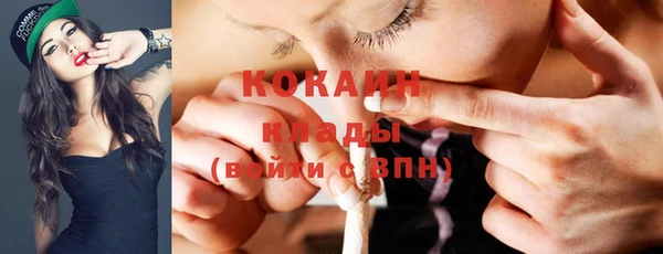 дурь Гусиноозёрск