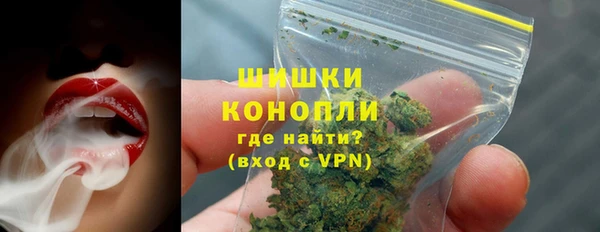 дурь Гусиноозёрск