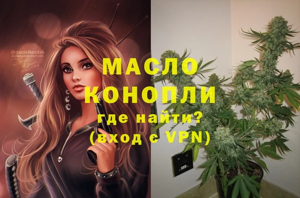 ПСИЛОЦИБИНОВЫЕ ГРИБЫ Гусев