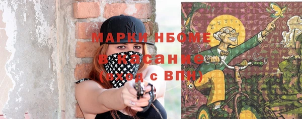 ПСИЛОЦИБИНОВЫЕ ГРИБЫ Гусев