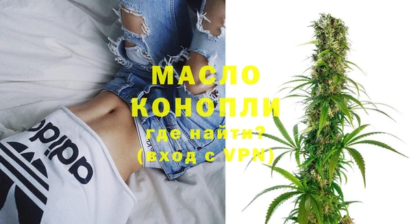 ПСИЛОЦИБИНОВЫЕ ГРИБЫ Гусев