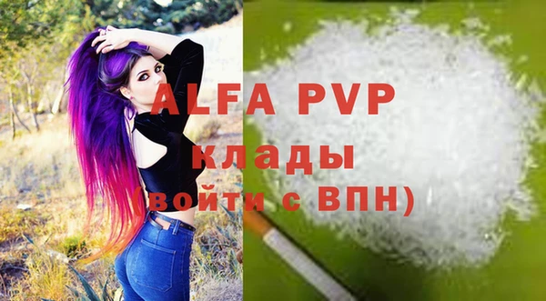 ПСИЛОЦИБИНОВЫЕ ГРИБЫ Гусев