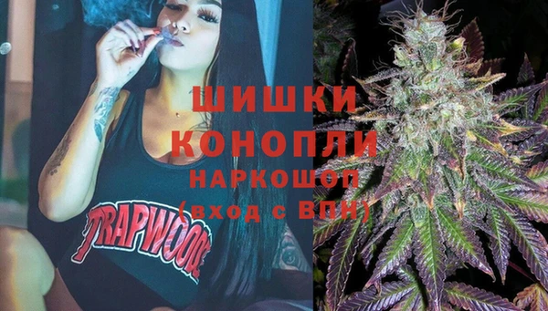 бутират Гусь-Хрустальный