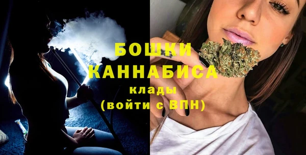 ПСИЛОЦИБИНОВЫЕ ГРИБЫ Гусев