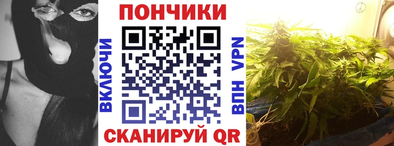 Купить  Краснознаменск  Канабис планчик 